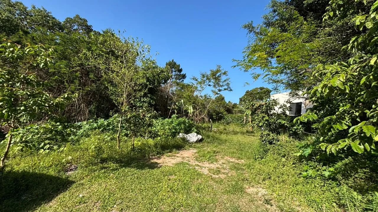 Terreno para venda em Açores com 546 m² — foto principal