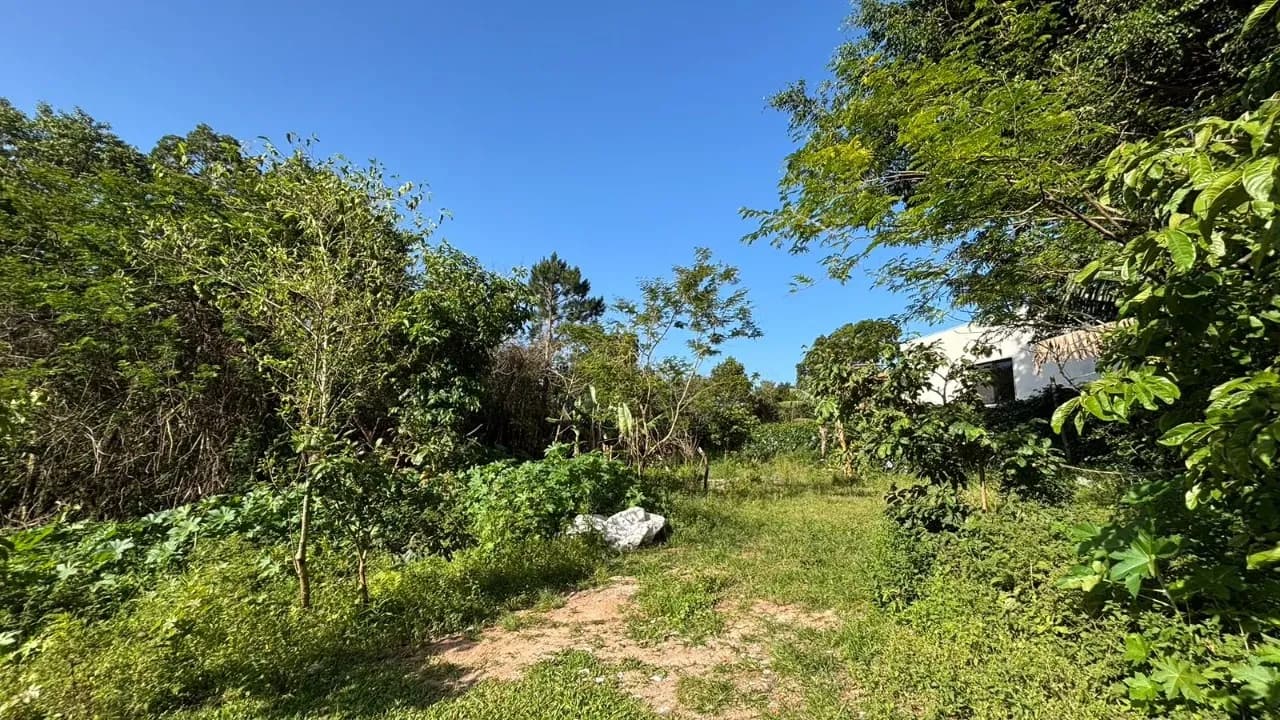 Terreno para venda em Açores com 546 m² — foto 2