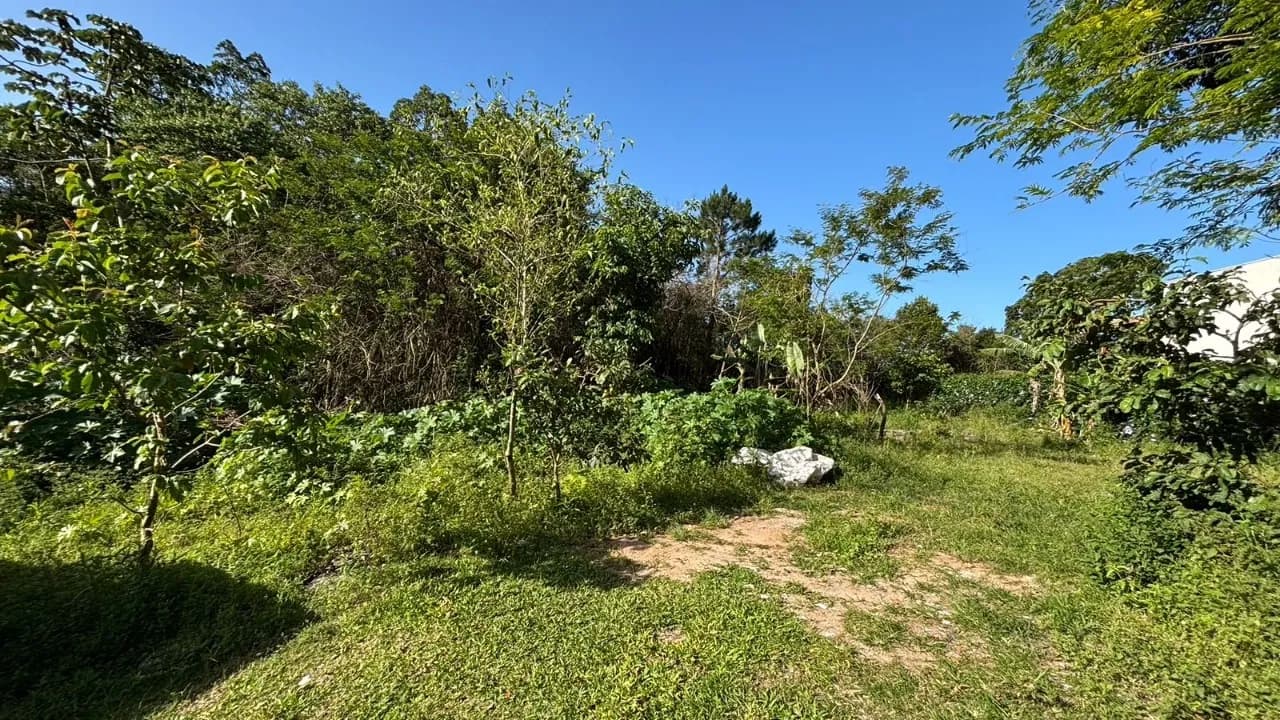 Terreno para venda em Açores com 546 m² — foto 5