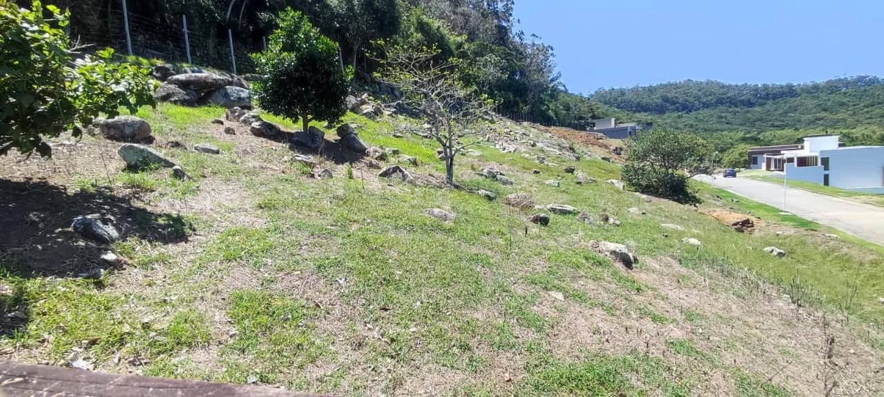 Terreno para venda em Ingleses Do Rio Vermelho com 506 m² — foto 3