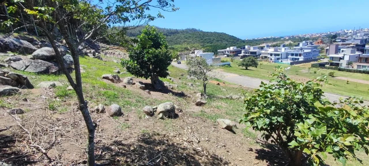Terreno para venda em Ingleses Do Rio Vermelho com 506 m² — foto 5