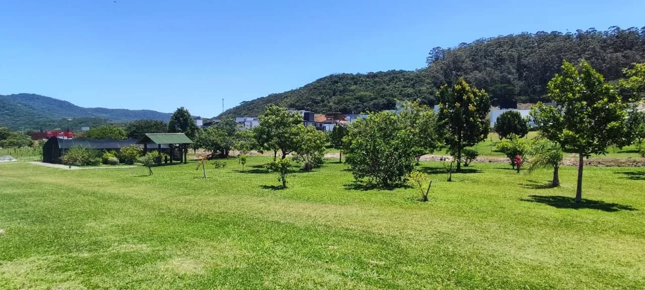 Terreno para venda em Ingleses Do Rio Vermelho com 509 m² — foto 2
