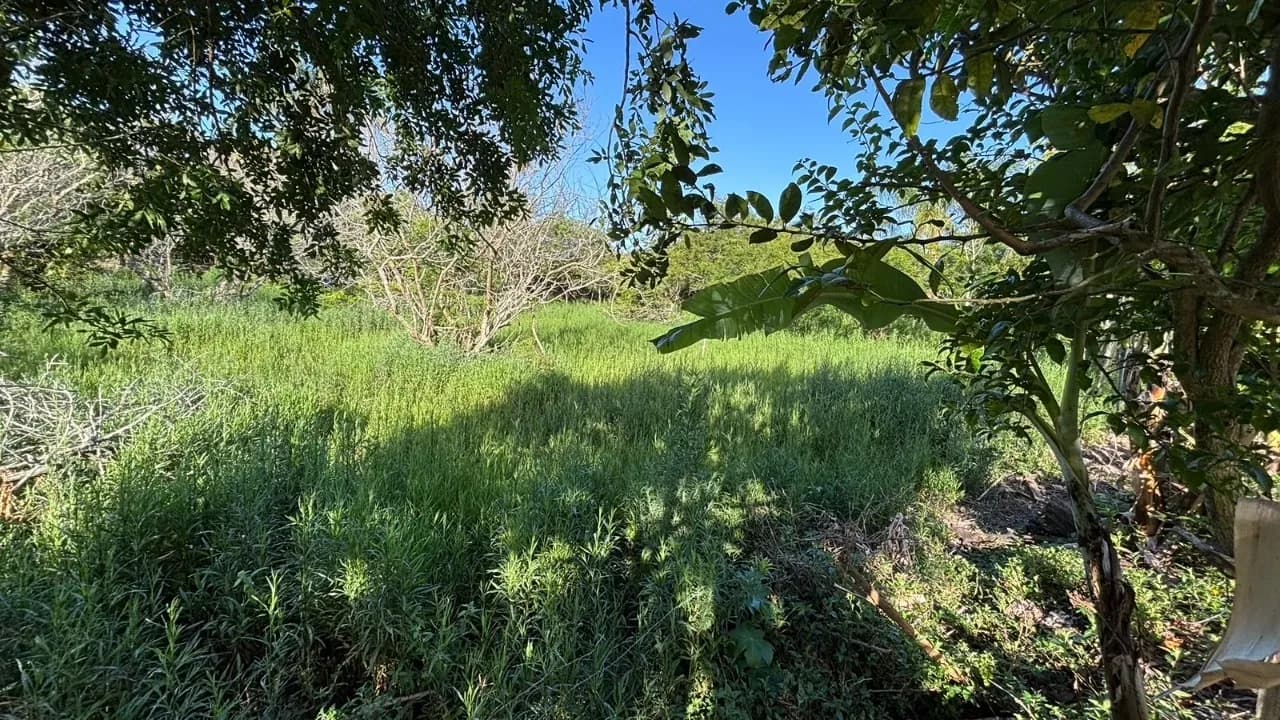 Terreno para venda em Açores com 386 m² — foto principal