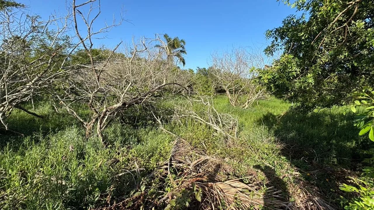 Terreno para venda em Açores com 386 m² — foto 2
