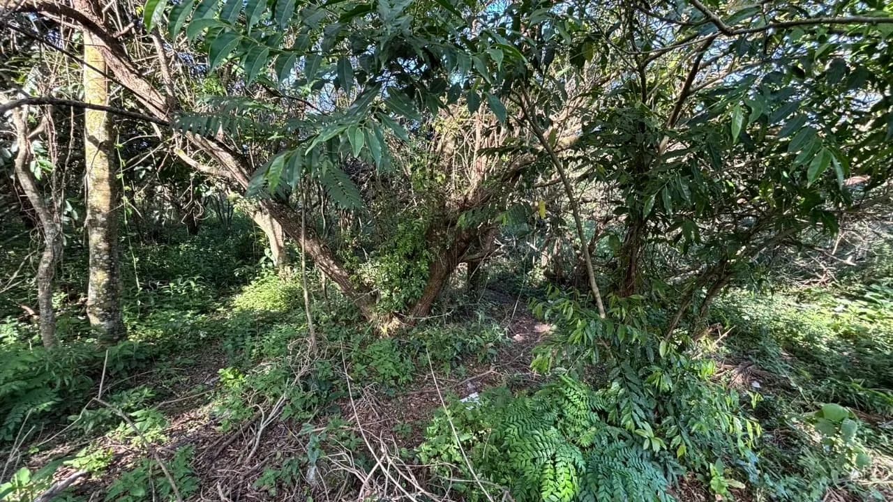 Terreno para venda em Açores com 382 m² — foto principal