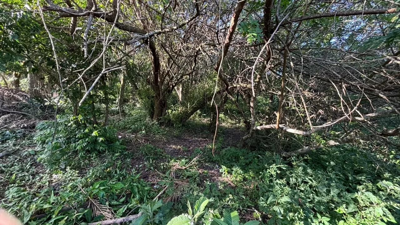 Terreno para venda em Açores com 382 m² — foto 2