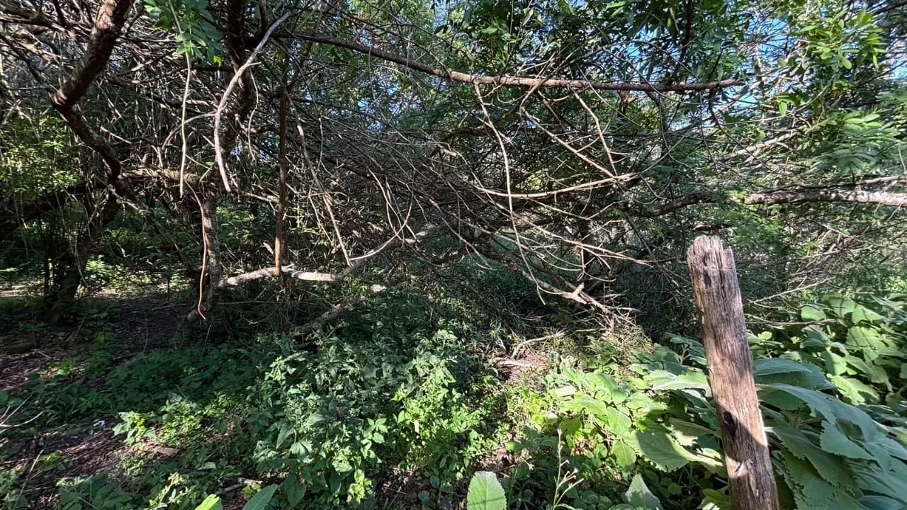 Terreno para venda em Açores com 382 m² — foto 3
