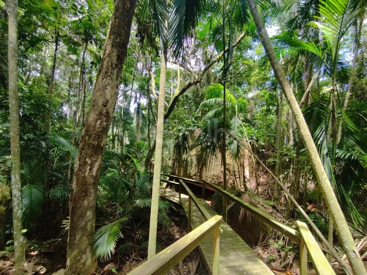 Terreno para venda em Campeche com 450 m² — foto 3