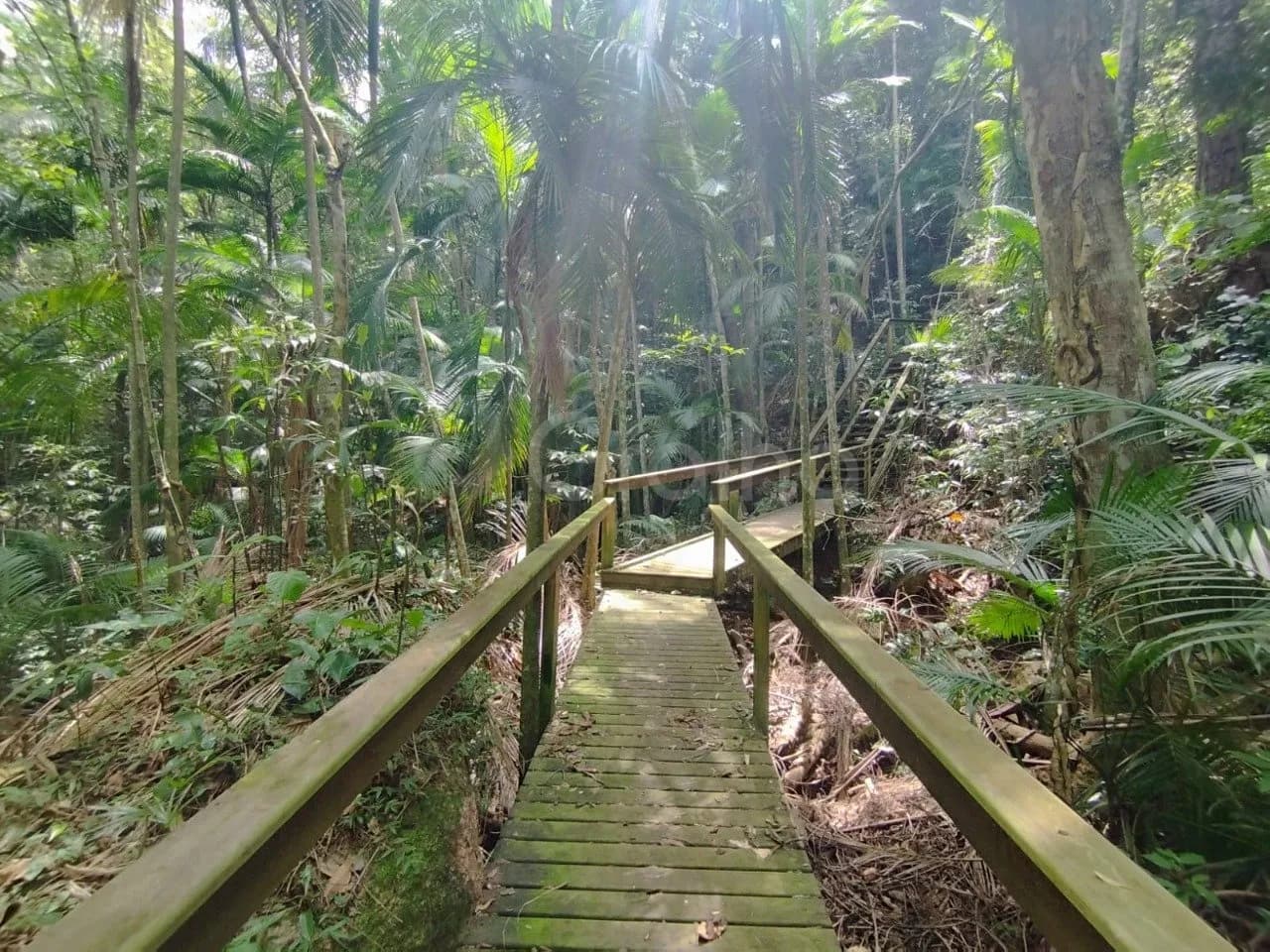 Terreno para venda em Campeche com 450 m² — foto 4