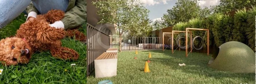 Apartamento para venda com 1 dormitório, em Morro Das Pedras com 45 m² — foto 2