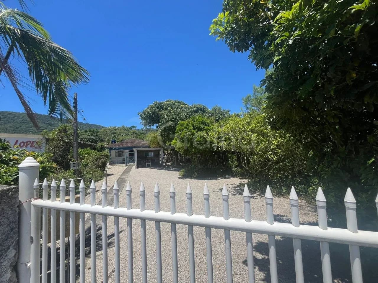 Sitio/fazenda para venda em Ribeirão da Ilha com 4215 m² — foto 2