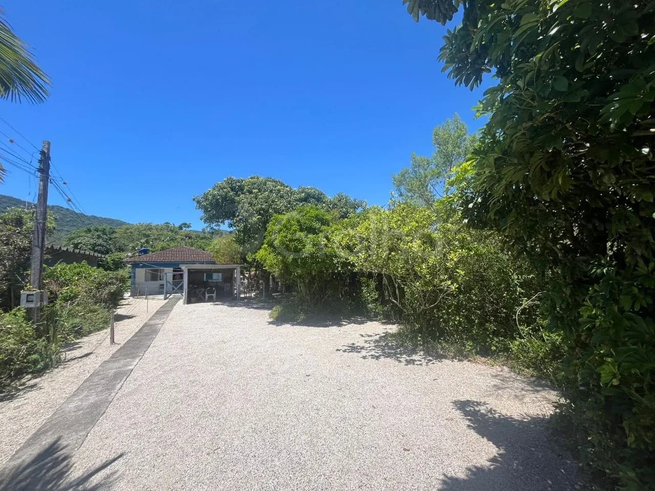Sitio/fazenda para venda em Ribeirão da Ilha com 4215 m² — foto 3