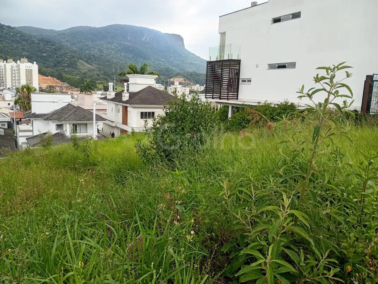 Terreno para venda em Pedra Branca com 360 m² — foto 4