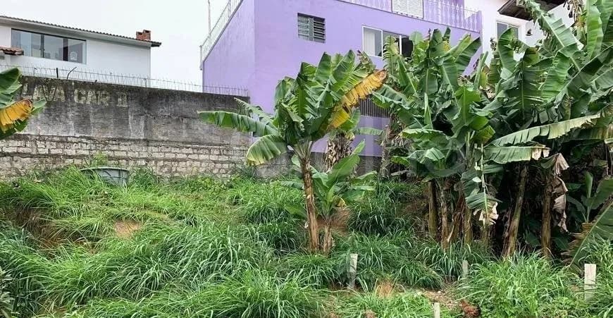 Terreno para venda em Barreiros com 771 m² — foto 4