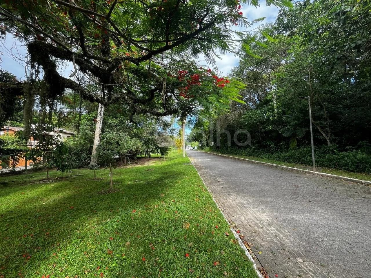 Terreno para venda em Rio Tavares com 400 m² — foto 3