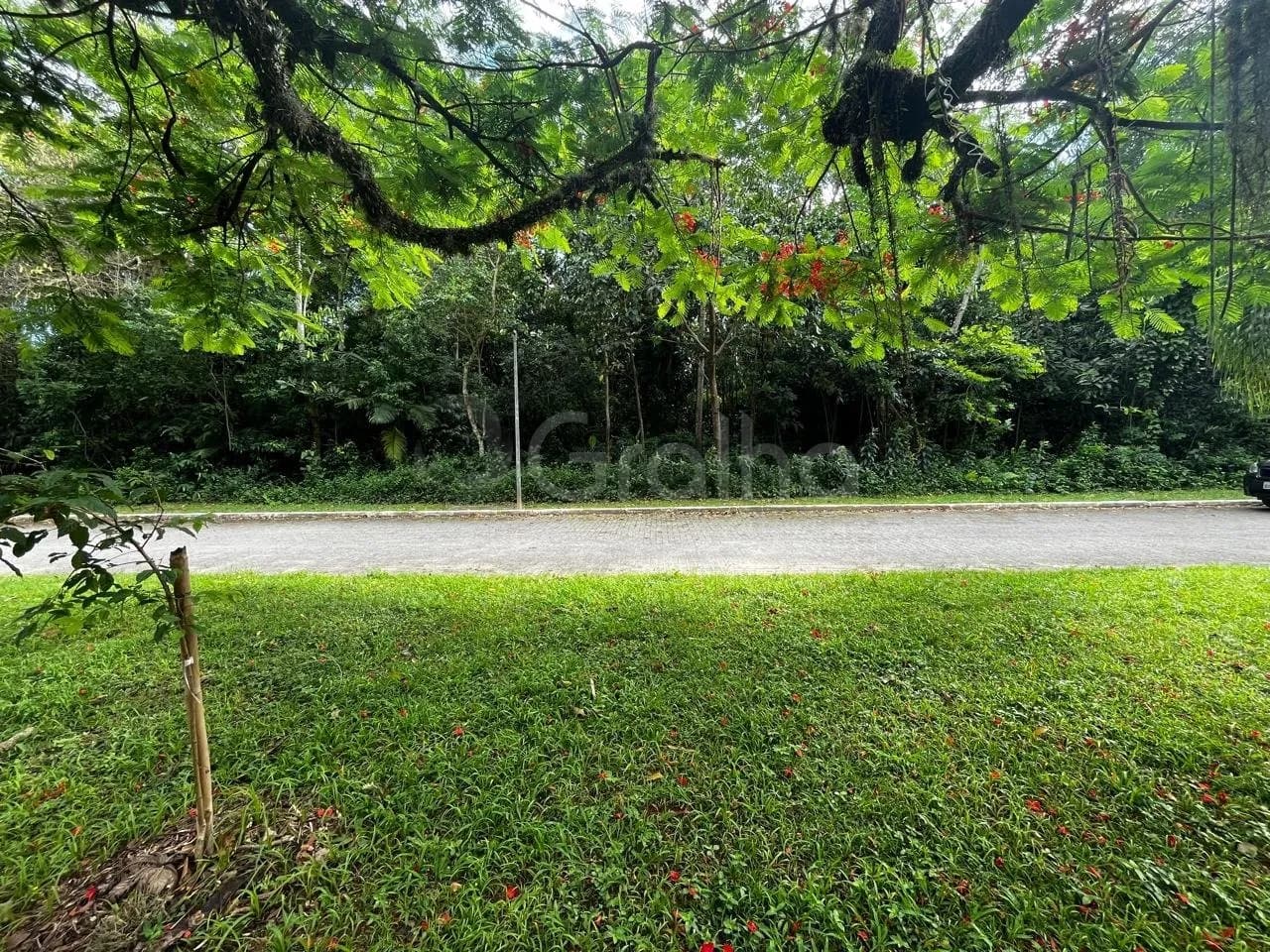 Terreno para venda em Rio Tavares com 400 m² — foto 4