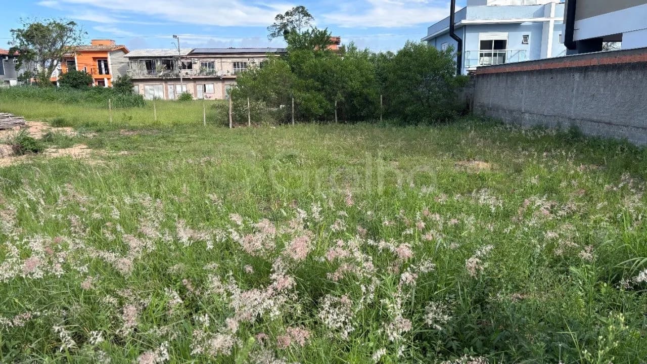Terreno para venda em Campeche com 370 m² — foto 3