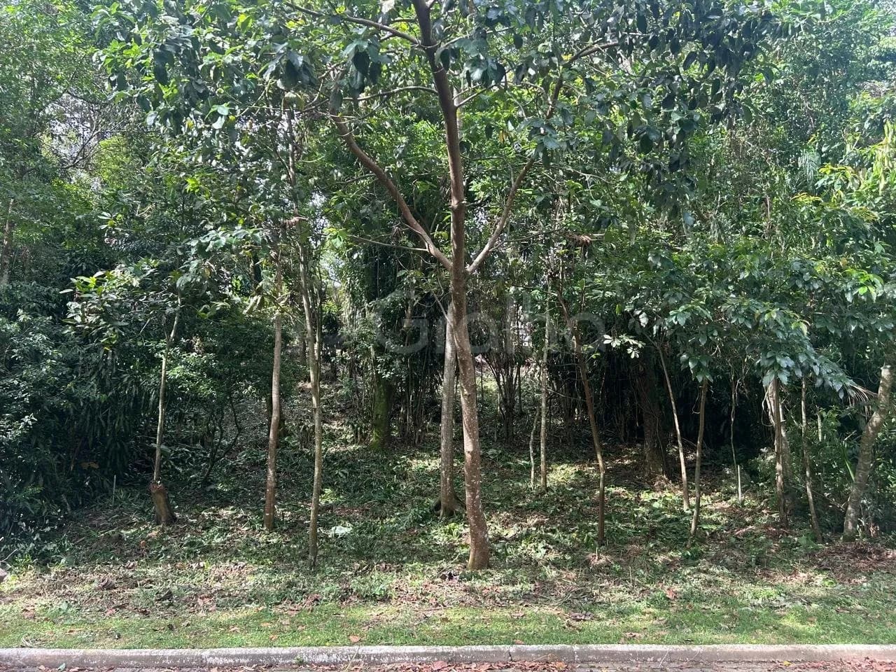 Terreno para venda em Rio Tavares com 400 m² — foto 2