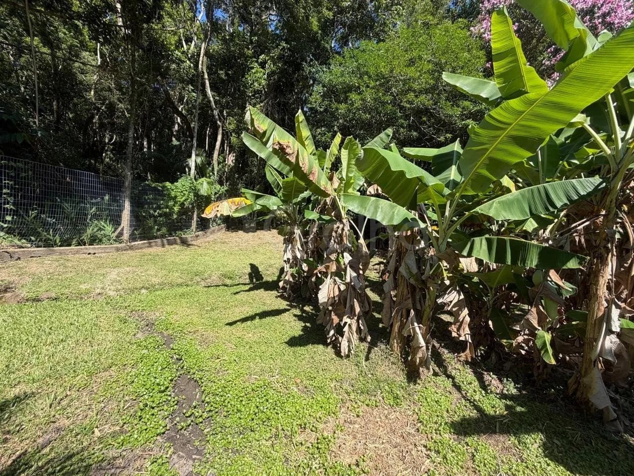 Terreno para venda em Santo Antônio de Lisboa com 1910 m² — foto 3