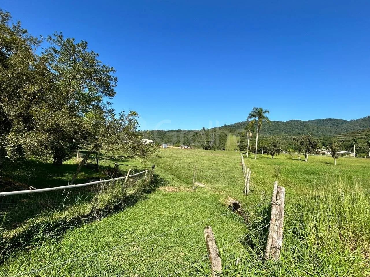Sitio/fazenda para venda em Três Riachos com 62920 m² — foto 2