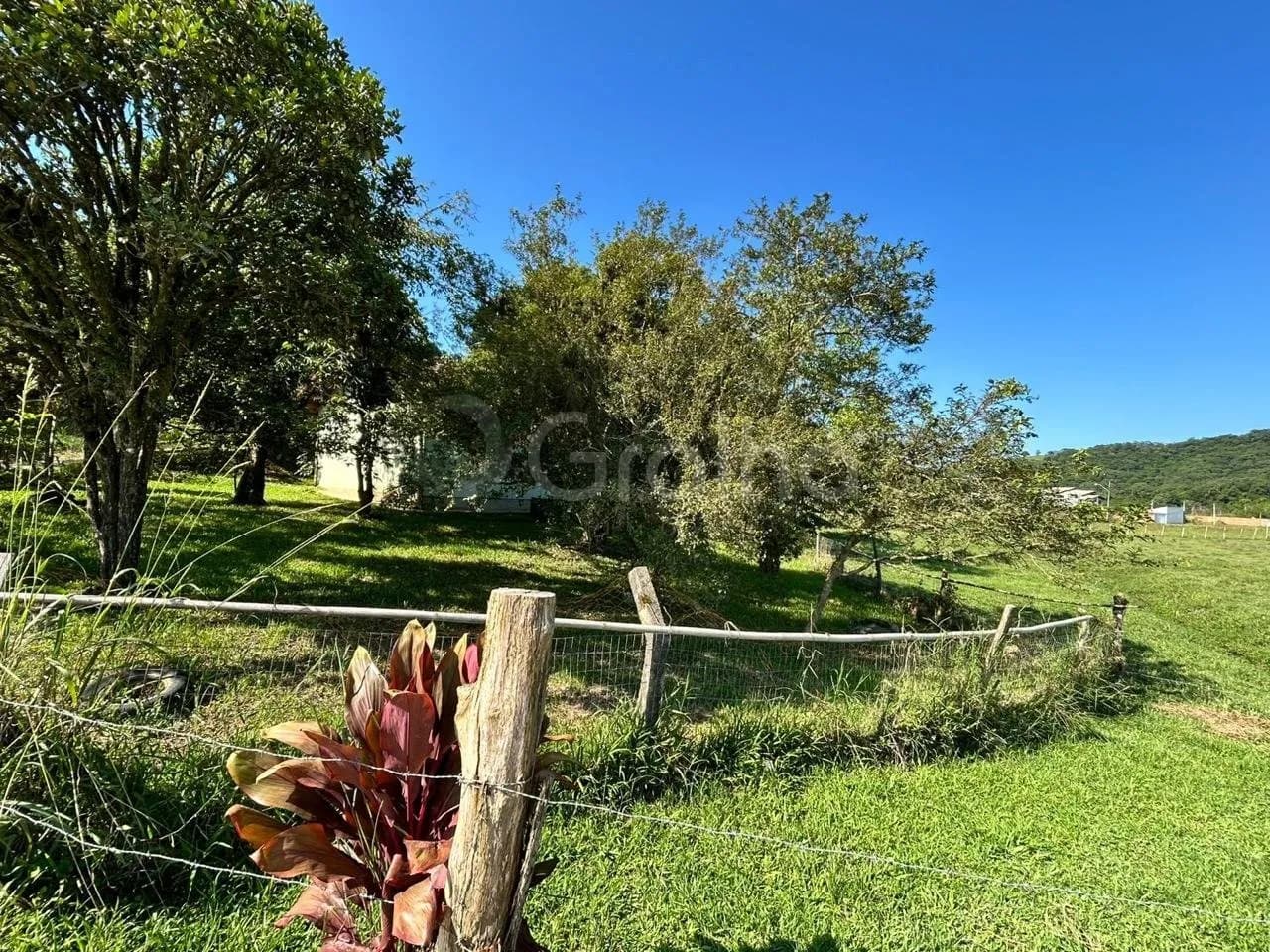 Sitio/fazenda para venda em Três Riachos com 62920 m² — foto 3