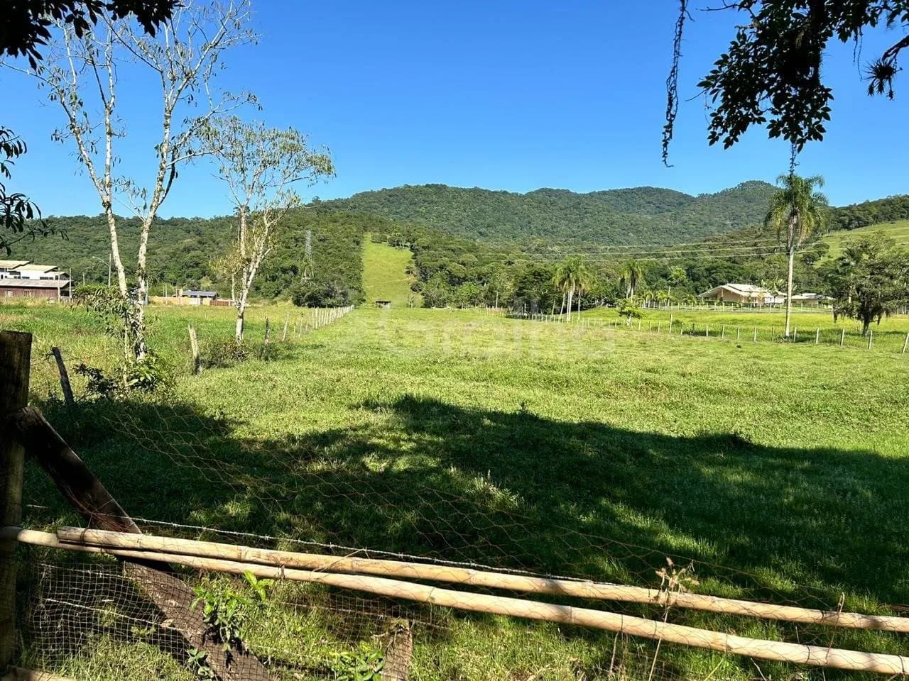 Sitio/fazenda para venda em Três Riachos com 62920 m² — foto 4