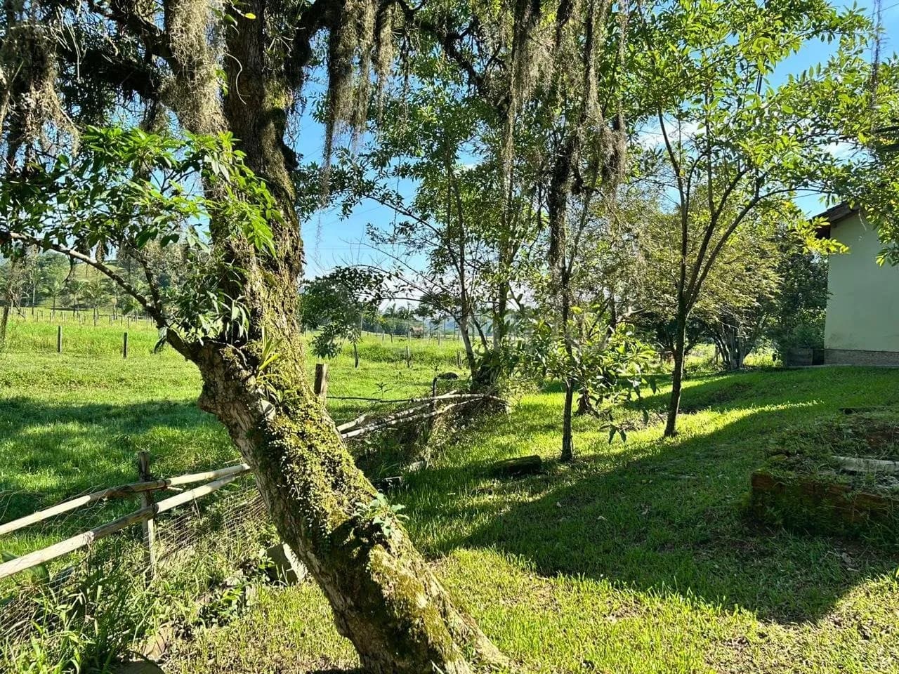 Sitio/fazenda para venda em Três Riachos com 62920 m² — foto 5