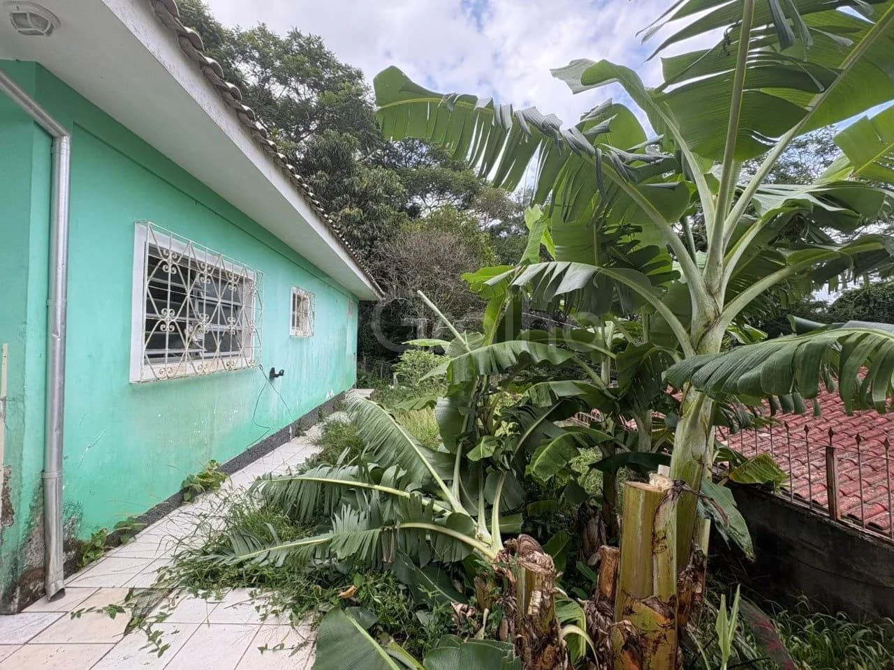 Terreno para venda em Carvoeira com 369 m² — foto 3