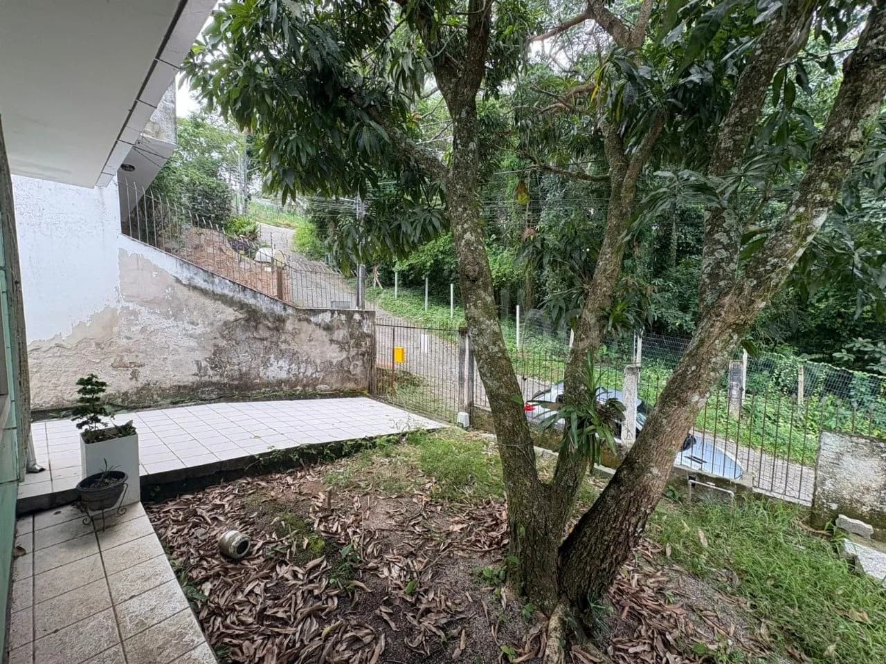 Terreno para venda em Carvoeira com 369 m² — foto 5