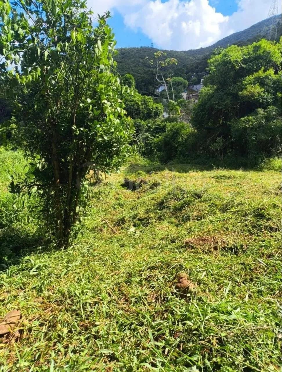 Terreno para venda em Costeira Do Pirajubae com 460 m² — foto 2