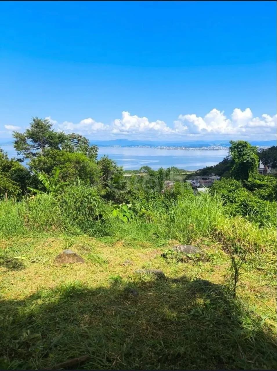 Terreno para venda em Costeira Do Pirajubae com 460 m² — foto 3