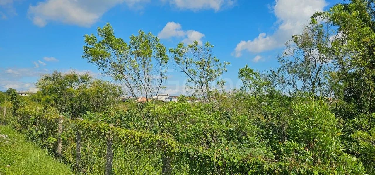 Terreno para venda em Carianos com 10911 m² — foto 2