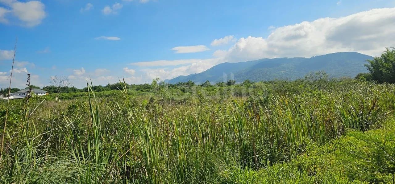 Terreno para venda em Carianos com 10911 m² — foto 5