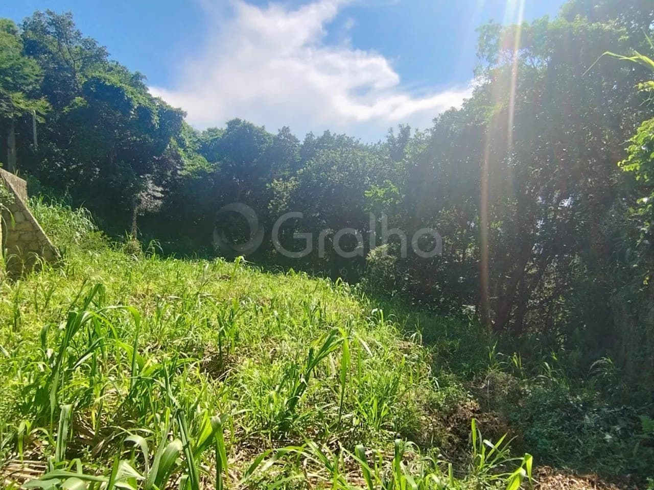 Terreno para venda em Lagoa Da Conceição com 1369 m² — foto 3