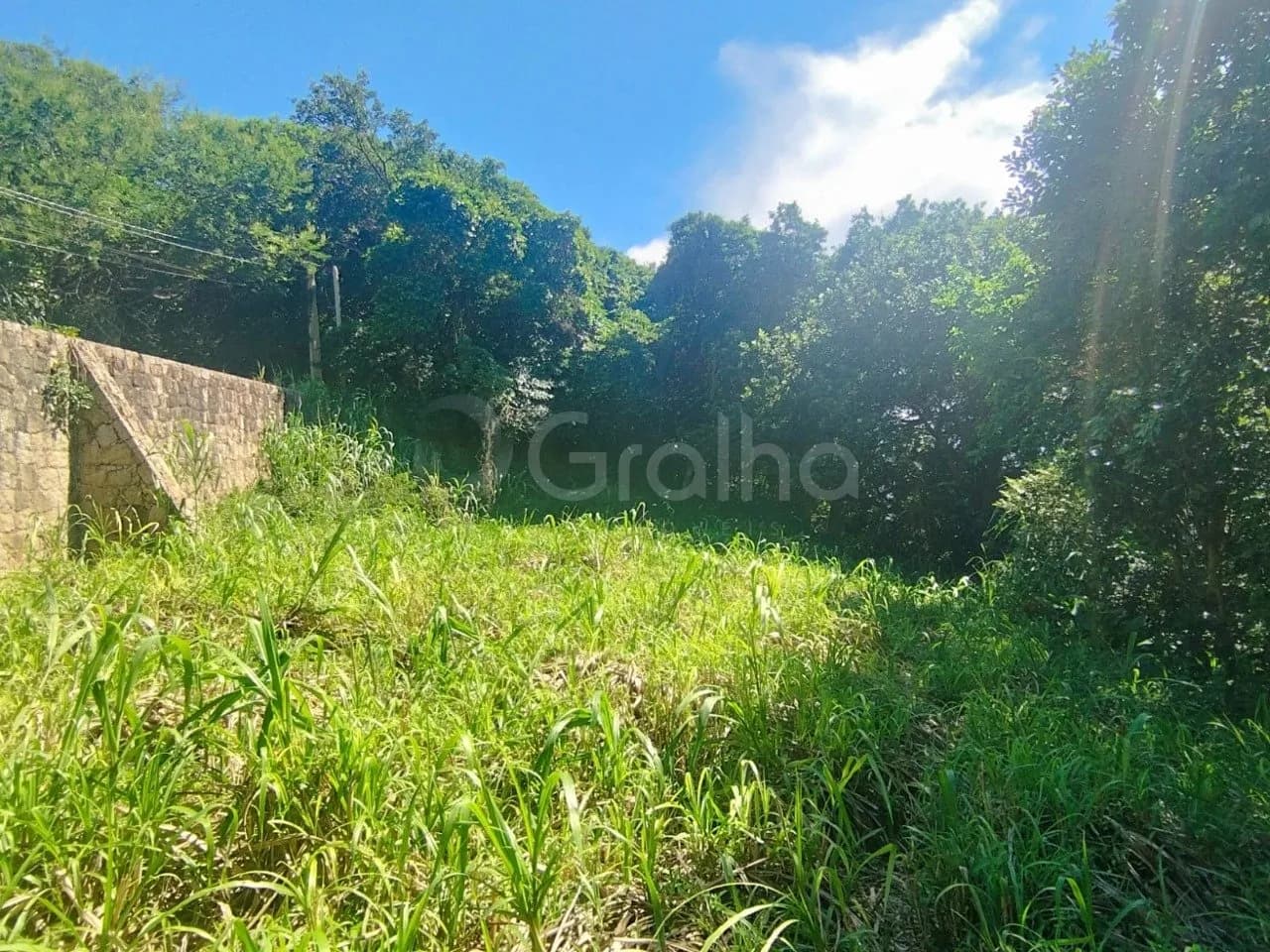 Terreno para venda em Lagoa Da Conceição com 1369 m² — foto 4