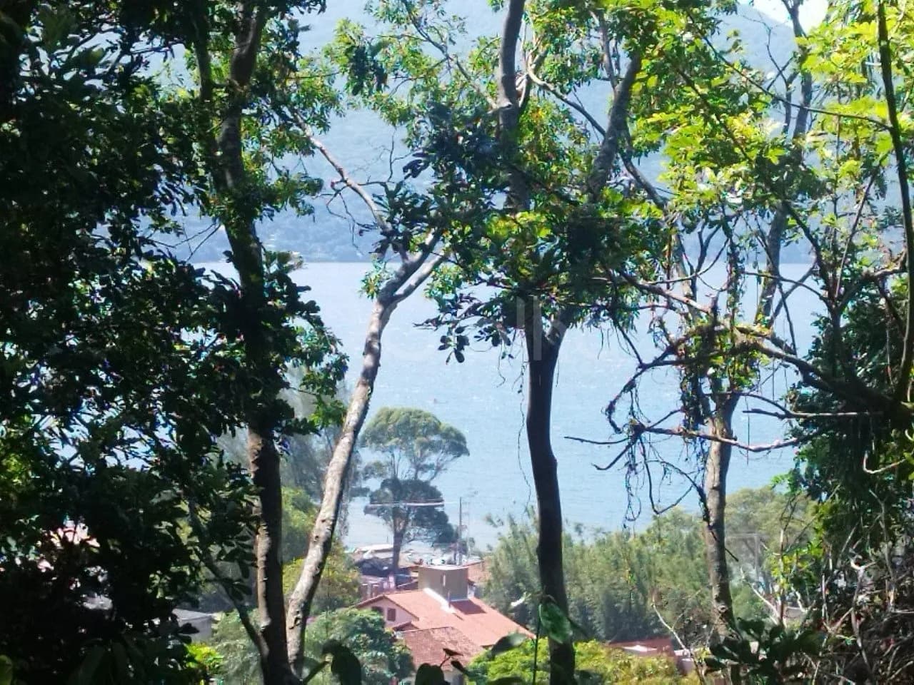 Terreno para venda em Lagoa Da Conceição com 1369 m² — foto 5