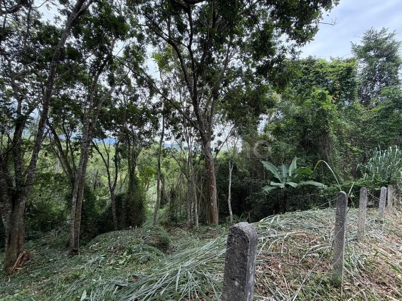 Terreno para venda em Canasvieiras com 4800 m² — foto 2