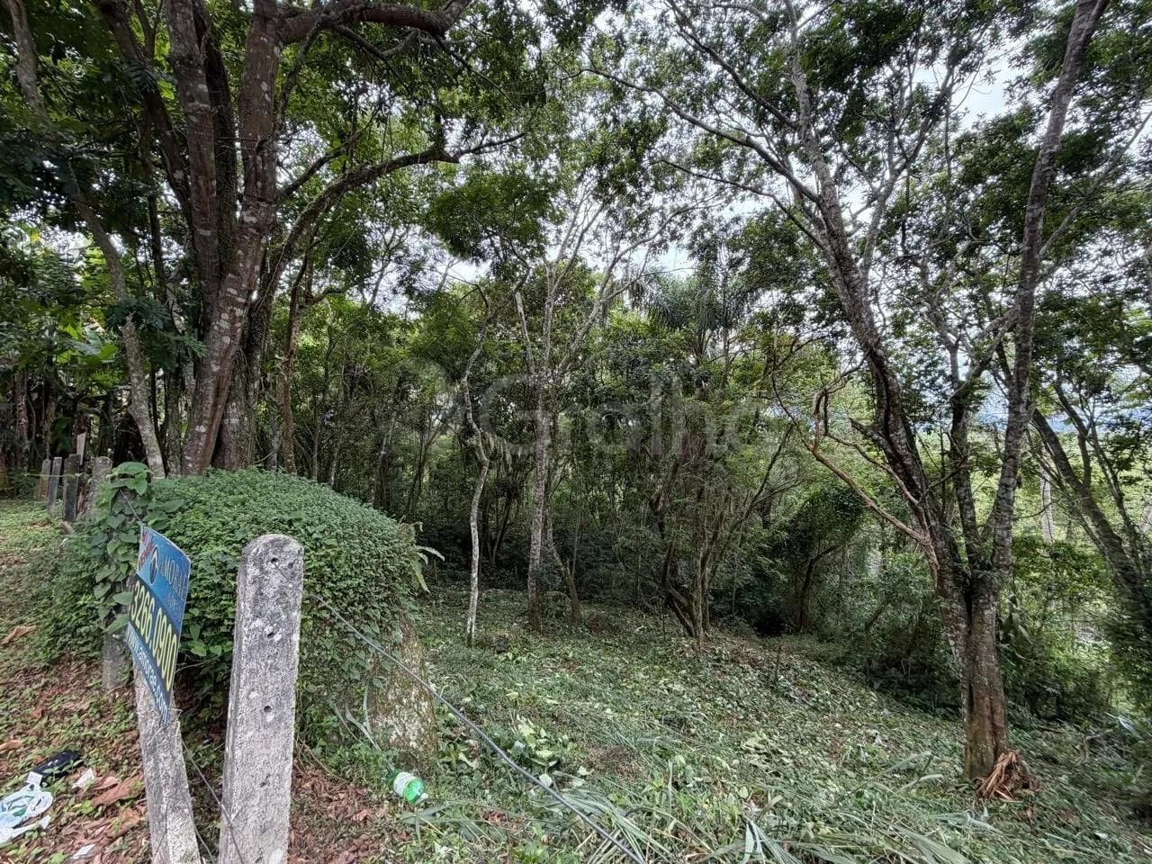 Terreno para venda em Canasvieiras com 4800 m² — foto 3