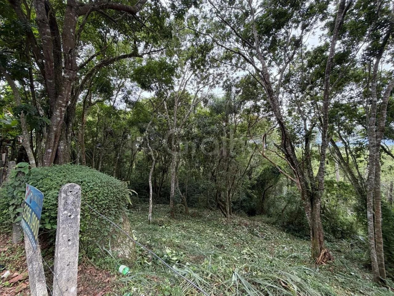 Terreno para venda em Canasvieiras com 4800 m² — foto 4