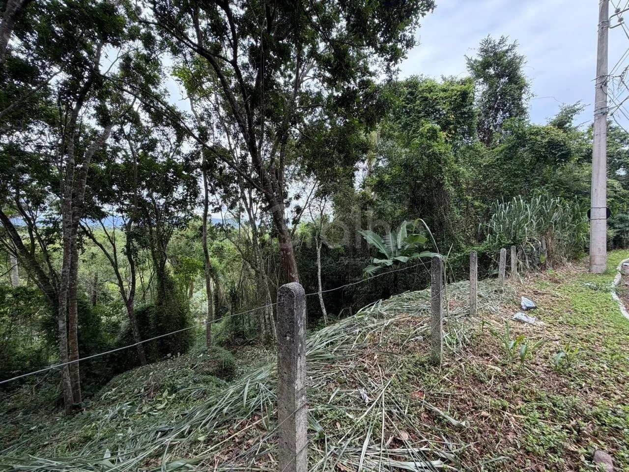 Terreno para venda em Canasvieiras com 4800 m² — foto 5