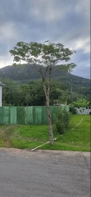 Terreno para venda em Pedra Branca com 370 m² — foto 3