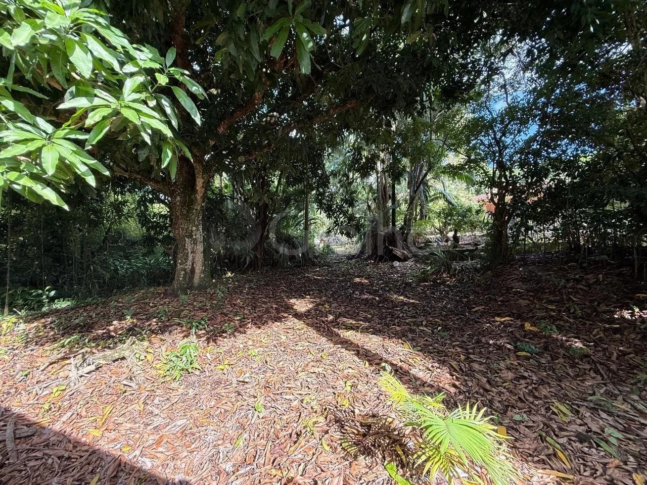 Terreno para venda em MONTE VERDE com 12804 m² — foto 2