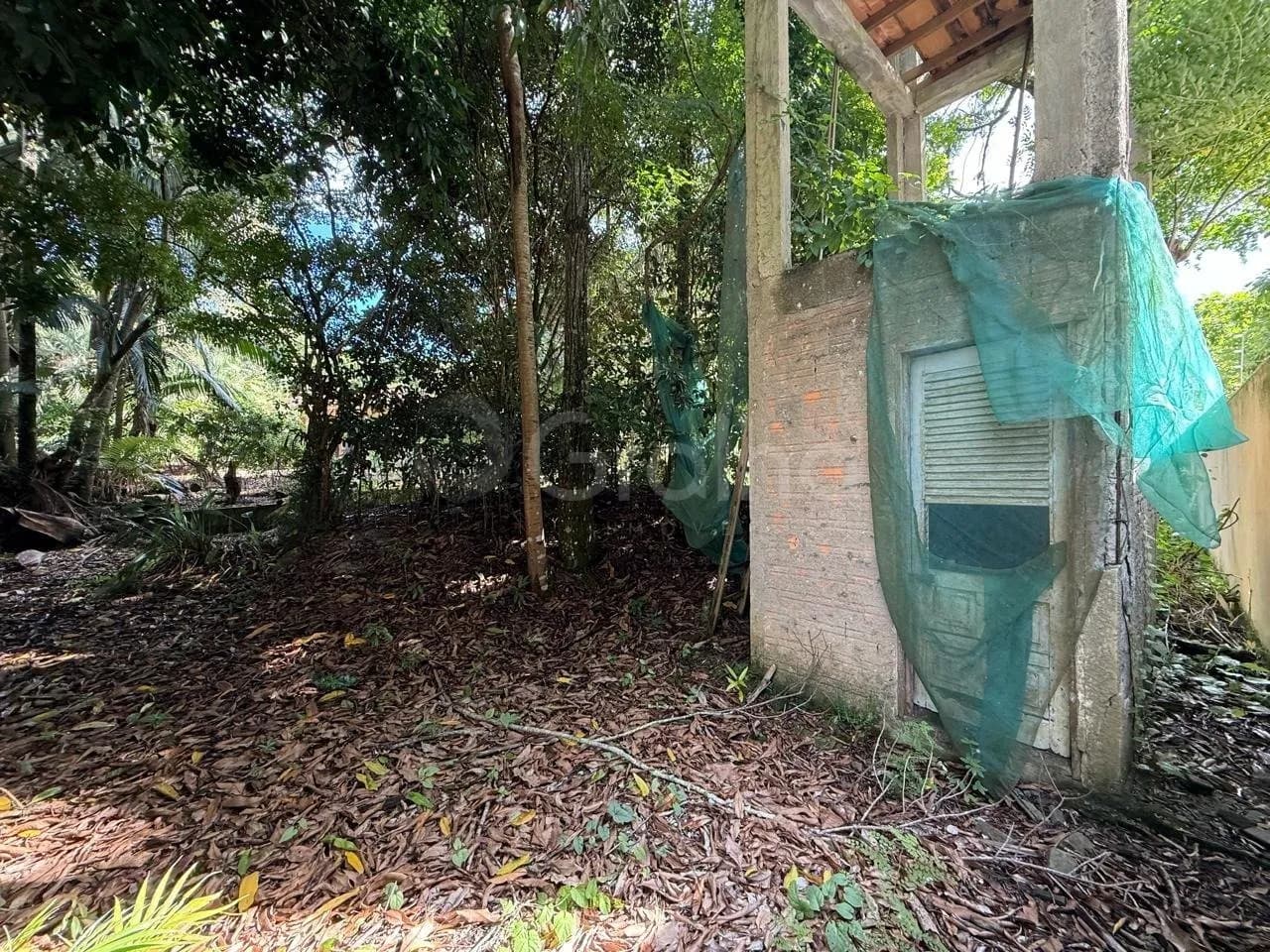 Terreno para venda em MONTE VERDE com 12804 m² — foto 3
