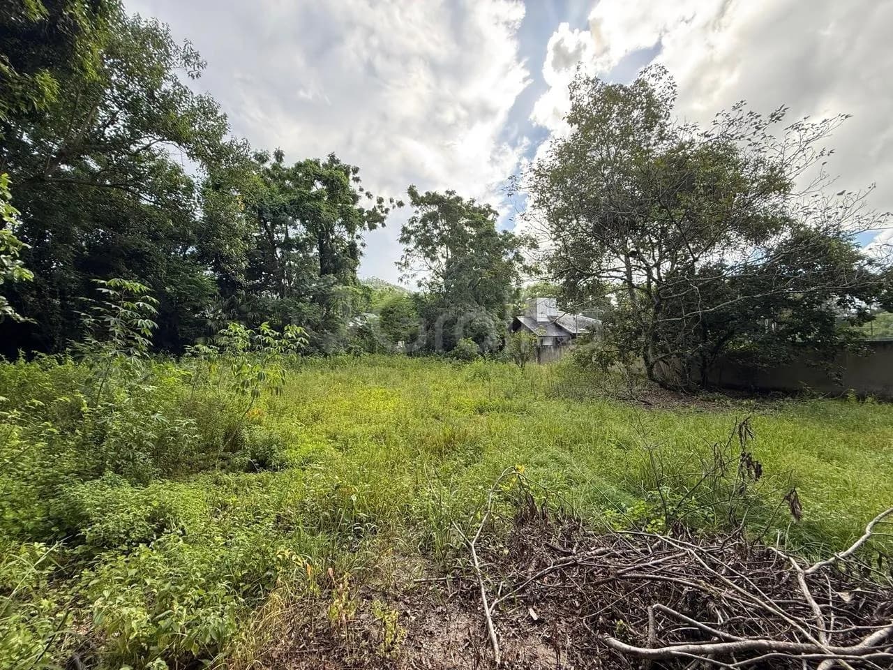 Terreno para venda em MONTE VERDE com 12804 m² — foto 5
