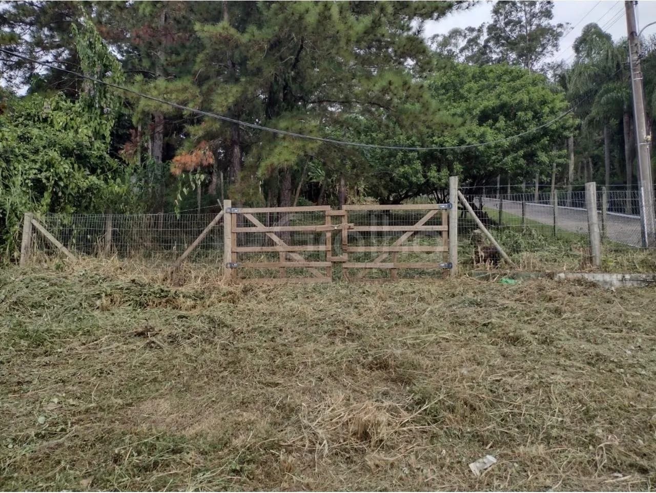 Terreno para venda em Côrrego Grande com 28060 m² — foto 4