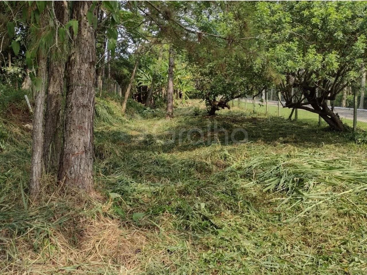 Terreno para venda em Côrrego Grande com 28060 m² — foto 5