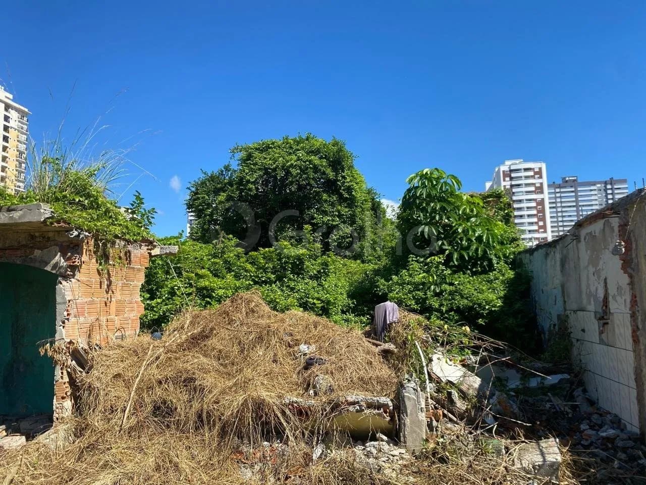 Terreno para venda em Barreiros com 360 m² — foto principal