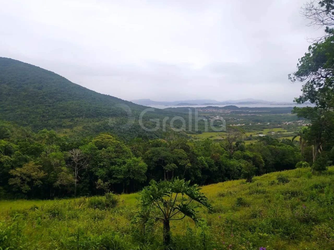 Terreno para venda em Ribeirão da Ilha com 65739 m² — foto 3