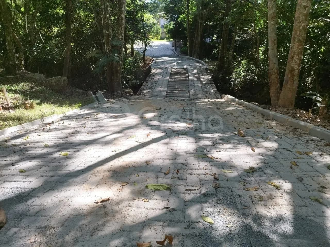Terreno para venda em Ribeirão da Ilha com 65739 m² — foto 4