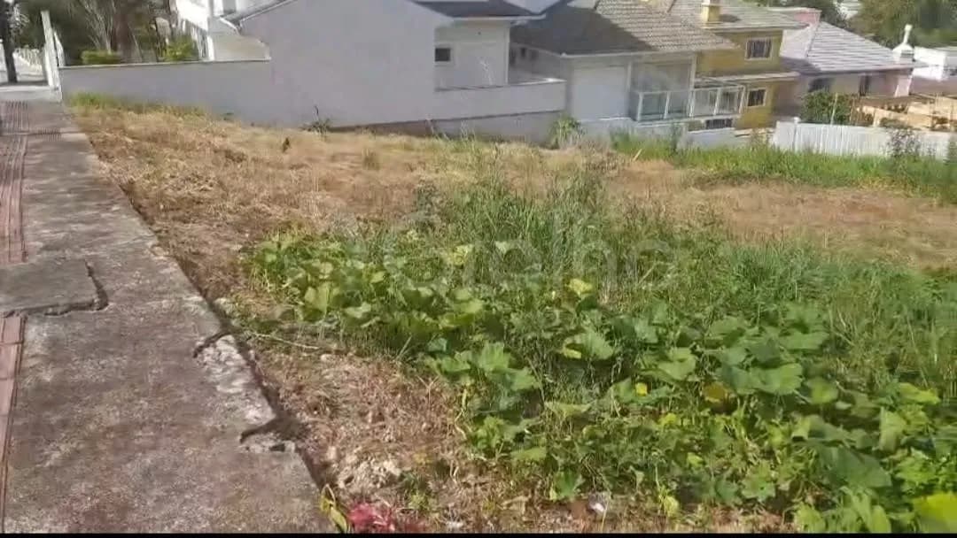 Terreno para venda em Pedra Branca com 451 m² — foto 3
